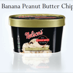 Banana peanut butter chip ice cream
